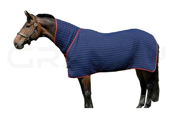 Horse Rugs 